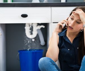 About Plumbers Pros Delta, AL